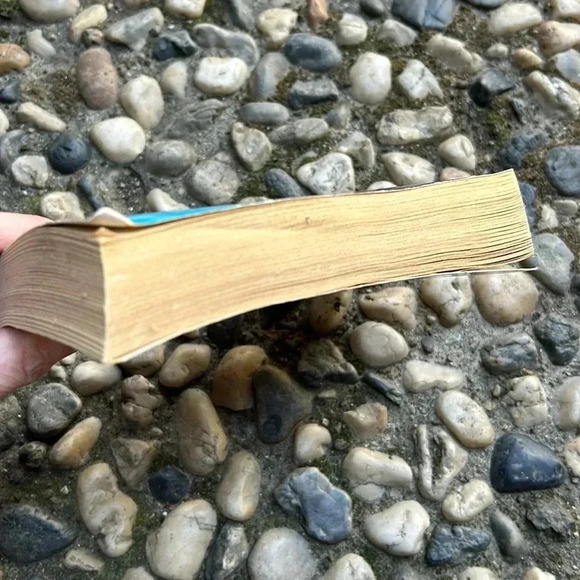 Vintage 80s When the Wind Blows by John Saul Horror Pulp Paperback Dell 1981 - Picture 4 of 7